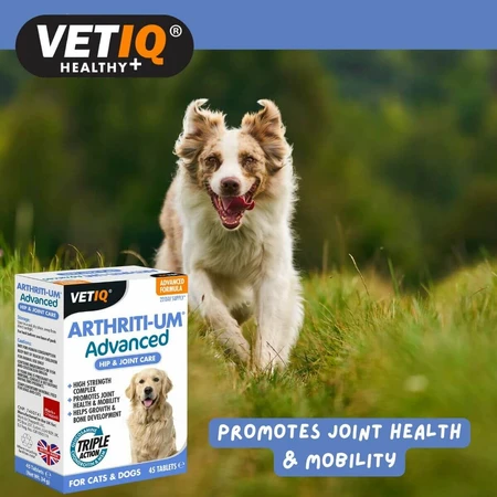 Mark & Chappell suplementos y vitaminas VETIQ VETIQ ARTHRITI-UM ADVANCED