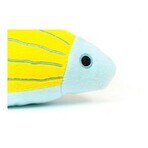 Giocattoli per cani Gloria Linkin 6 x 8 x 25 cm Pesce Poliestere polipropilene