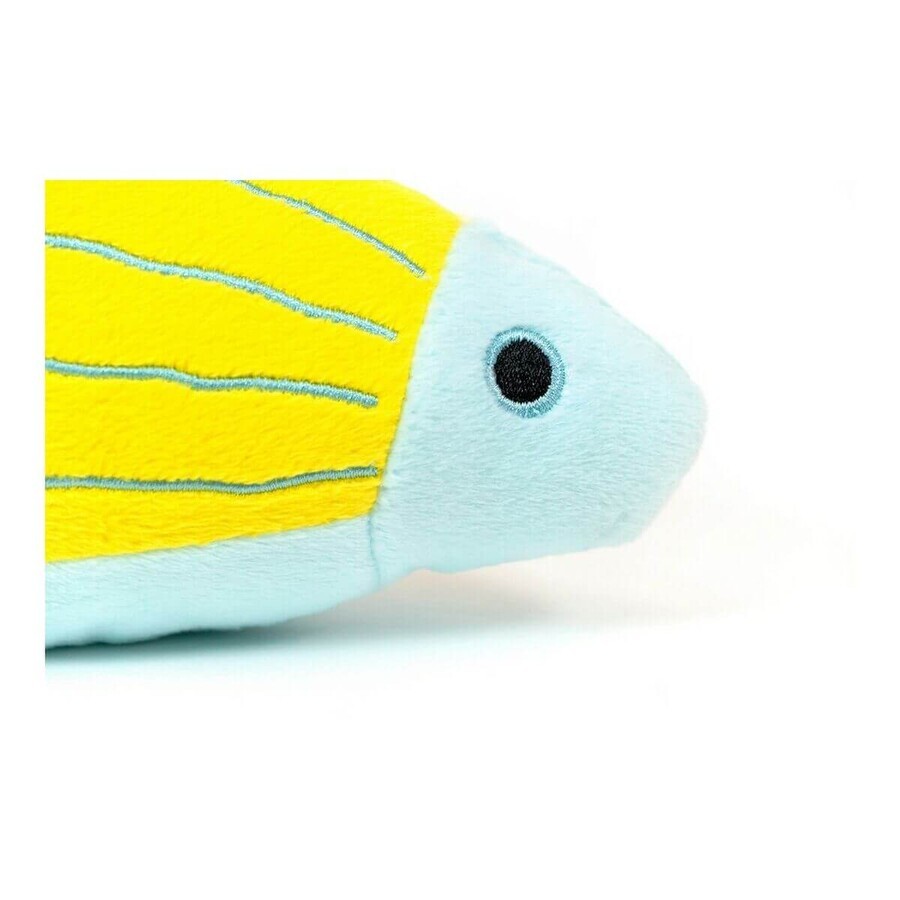 Giocattoli per cani Gloria Linkin 6 x 8 x 25 cm Pesce Poliestere polipropilene Giocattoli per cani Gloria Linkin 6 x 8 x 25 cm Pesce Poliestere polipropilene