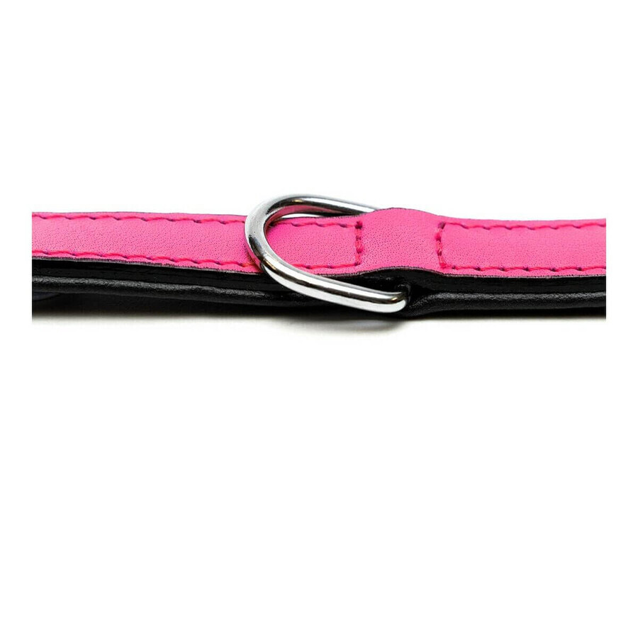 Hundehalsband Gloria Polsterung Pink 40 cm (40 x 2 cm) Hundehalsband Gloria Polsterung Pink 40 cm (40 x 2 cm)