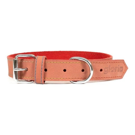 Collar para perro Gloria Oasis Rojo (70 x 3 cm)