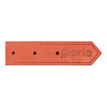 Collar para perro Gloria Oasis Rojo (70 x 3 cm)
