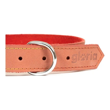 Collar para perro Gloria Oasis Rojo (70 x 3 cm)