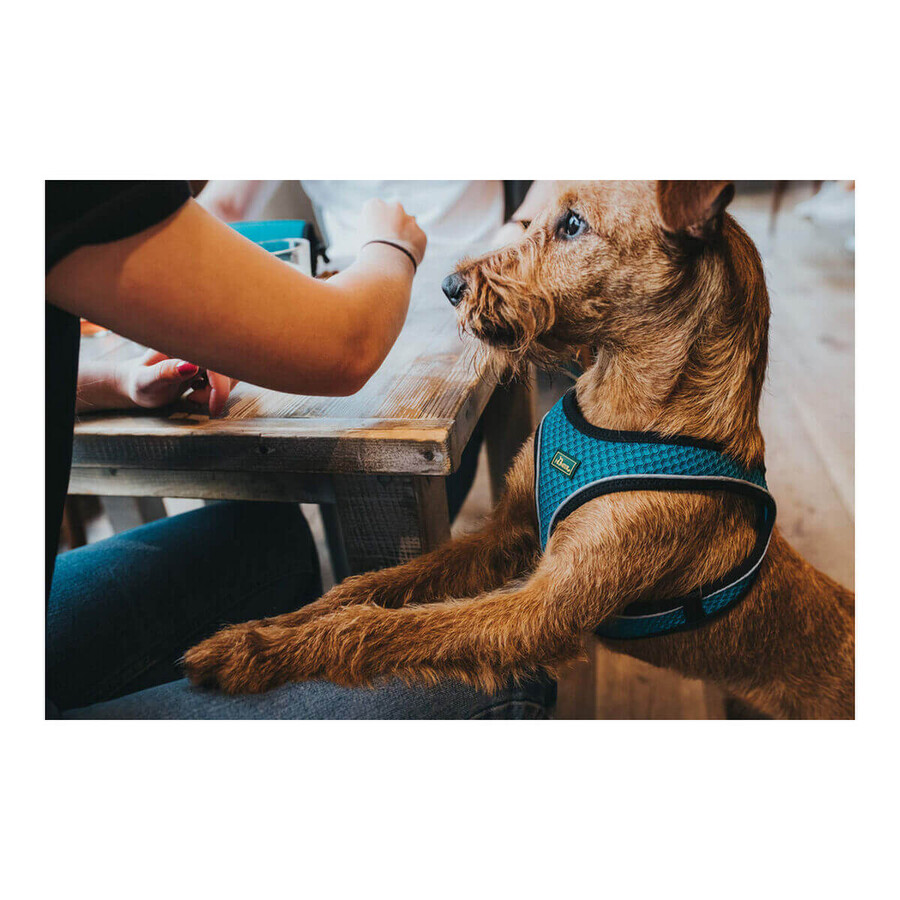 Dog Harness Hunter Hilo Comfort 55-60 cm Size M Turquoise Dog Harness Hunter Hilo Comfort 55-60 cm Size M Turquoise