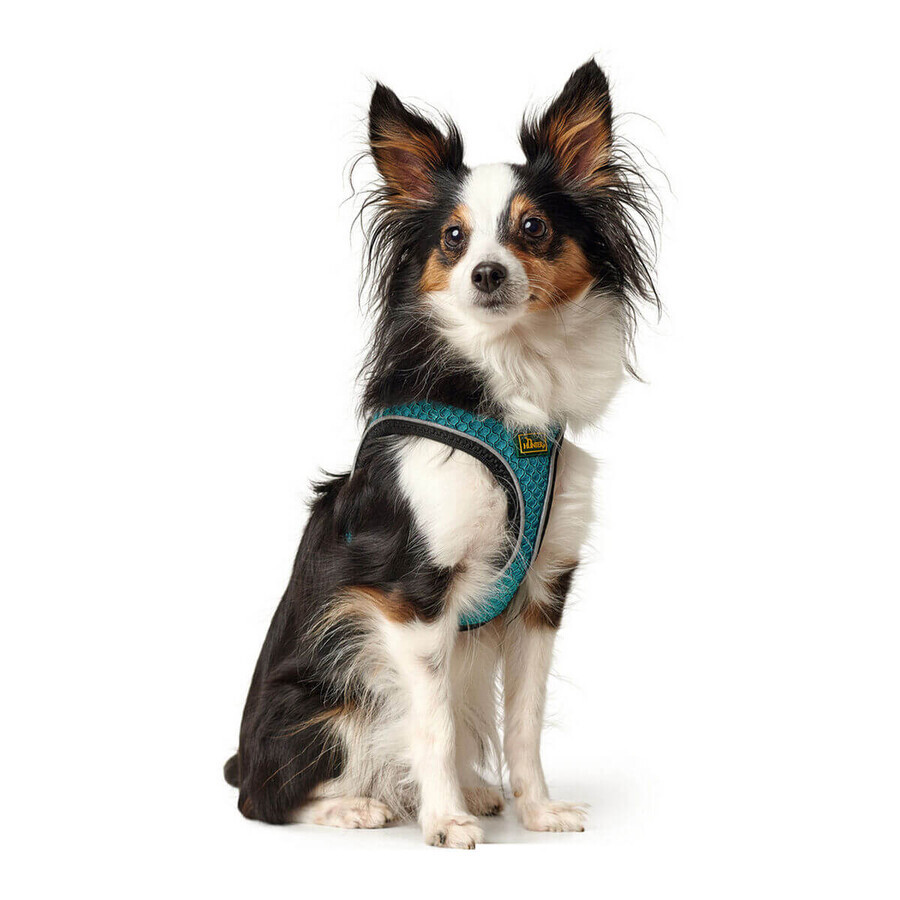 Dog Harness Hunter Hilo Comfort 55-60 cm Size M Turquoise Dog Harness Hunter Hilo Comfort 55-60 cm Size M Turquoise