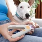 Coupe-ongles pour animaux de compagnie avec clip LED InnovaGoods