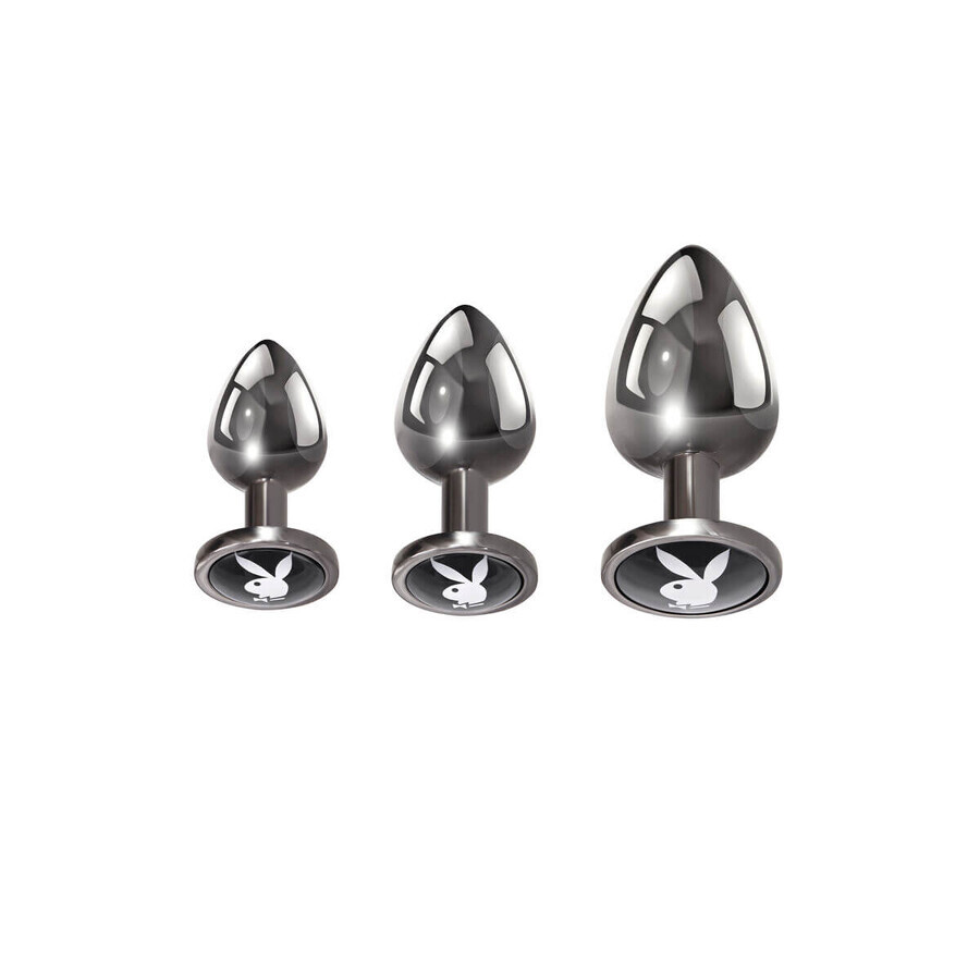 Winkel op Anaalplug Playboy Playboy Zilver Anaalplug Playboy Playboy Zilver