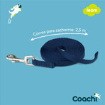 Laisse pour Chien Coachi Bleu 2,5 m Formation Laisse pour Chien Coachi Bleu 2,5 m Formation