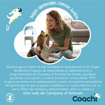 Laisse pour Chien Coachi Bleu 2,5 m Formation Laisse pour Chien Coachi Bleu 2,5 m Formation