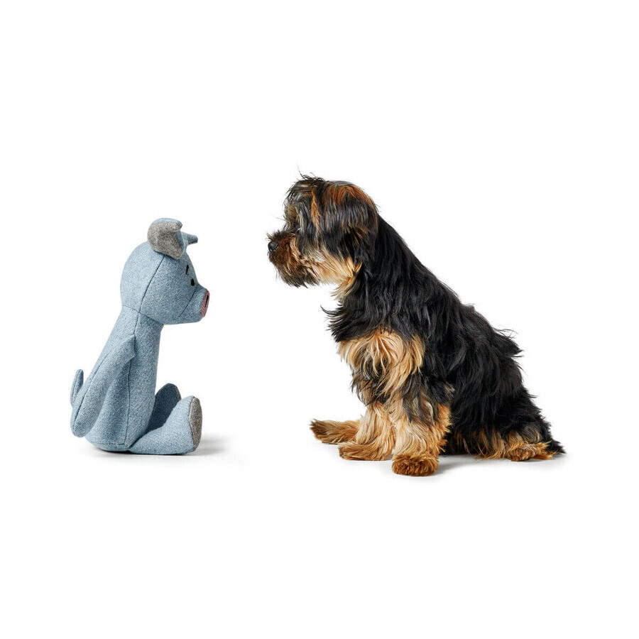 Hondenspeelgoed Hunter Marle Blauw Varken Hondenspeelgoed Hunter Marle Blauw Varken