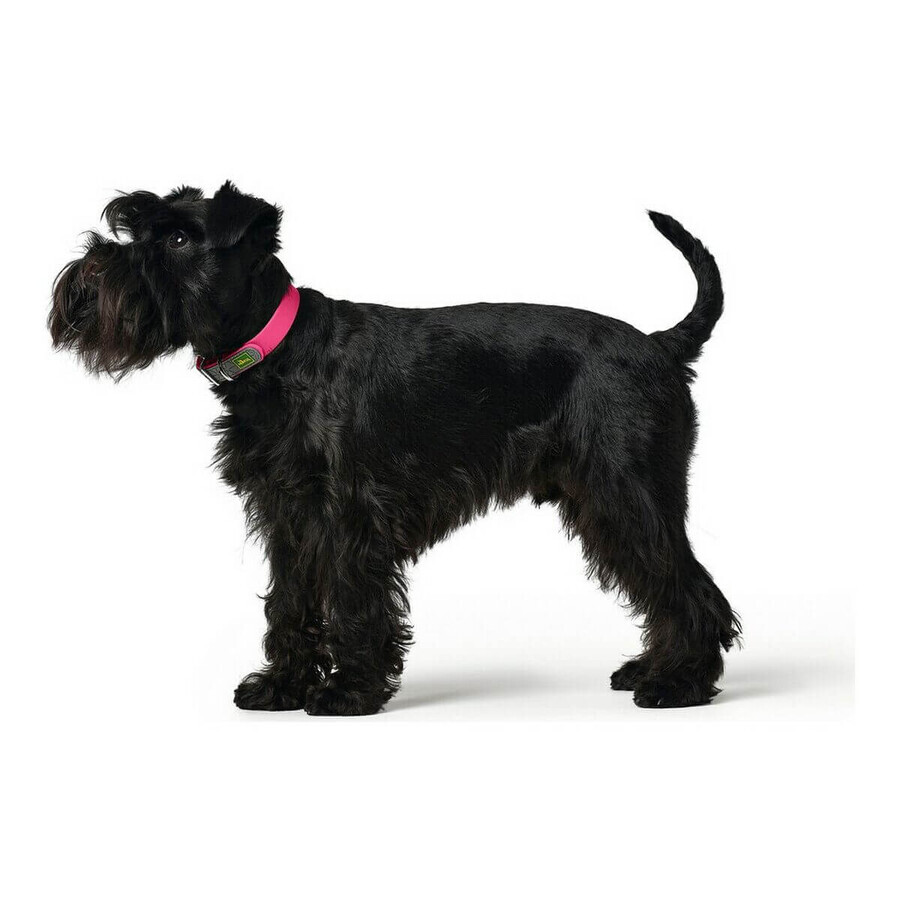 Collare per Cani Hunter Convenience Rosa Taglia M/L (42-50 cm) Collare per Cani Hunter Convenience Rosa Taglia M/L (42-50 cm)