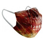 Mască igienică de pânză reutilizabilă Adult Drac Mască igienică de pânză reutilizabilă Adult Drac