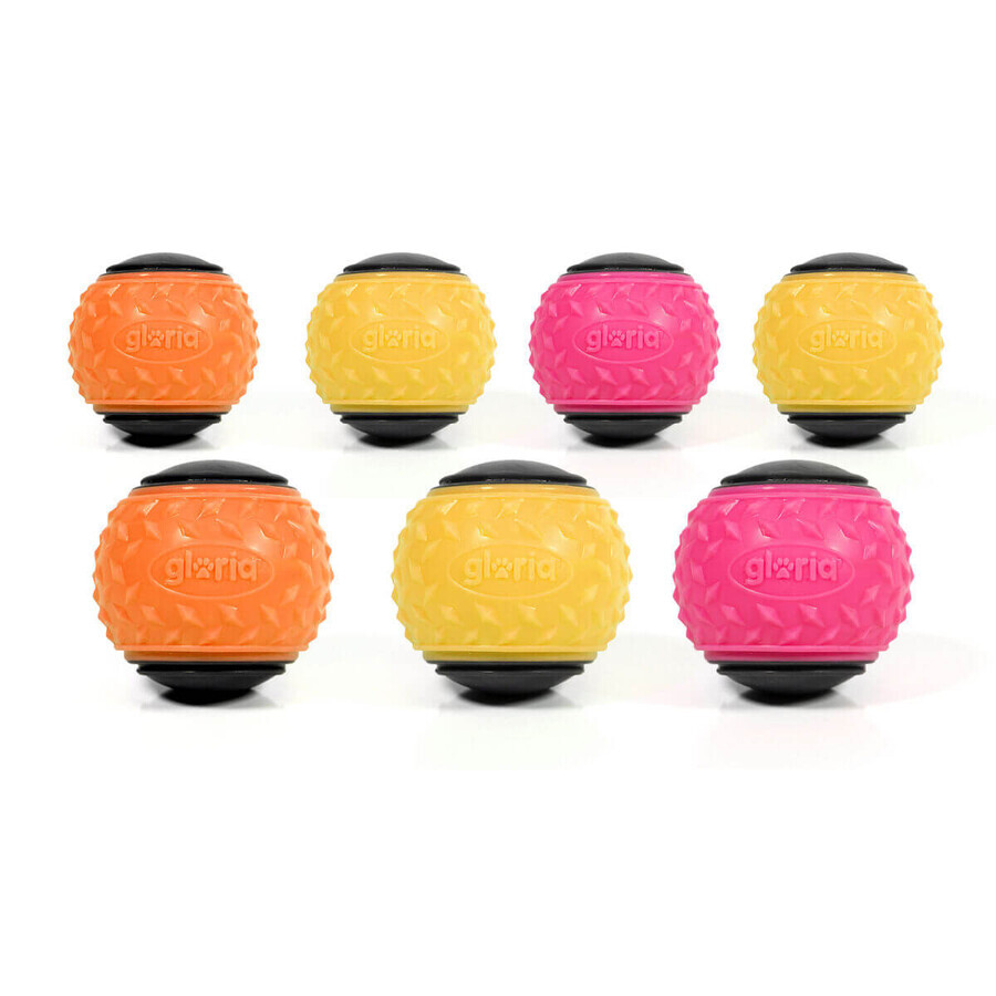 Comprar Jucărie pentru câini Gloria Multicolor TPR 24 Unități Jucărie pentru câini Gloria Multicolor TPR 24 Unități