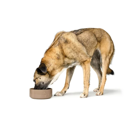 Voerbak voor honden Hunter OSBY Beige Keramisch 550 ml
