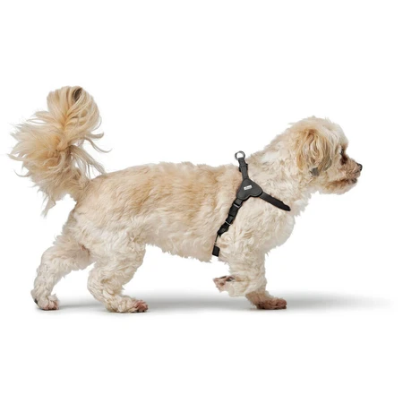 Hundegeschirr Hunter SOHO MINI Schwarz XS