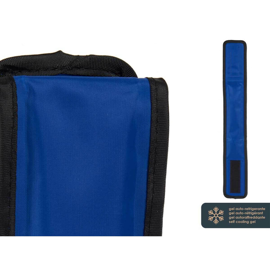 Zgardă pentru câini Albastru Negru PVC Gel 6,5 x 1 x 45 cm Refrigerant (4 Unități) Zgardă pentru câini Albastru Negru PVC Gel 6,5 x 1 x 45 cm Refrigerant (4 Unități)