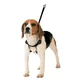 Arnés Gloria para perros de 30-42 cm Talla M