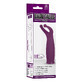 Masseur &#233;rotique NMC Purple