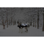 Cappotto per Cani Dog Gone Smart Nero 45 cm Cappotto per Cani Dog Gone Smart Nero 45 cm