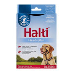 Collier d'entraînement pour chiens Company of Animals Halti Noir Muselière (40-54 cm) Collier d'entraînement pour chiens Company of Animals Halti Noir Muselière (40-54 cm)