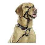 Collier d'entraînement pour chiens Company of Animals Halti Noir Muselière (40-54 cm) Collier d'entraînement pour chiens Company of Animals Halti Noir Muselière (40-54 cm)