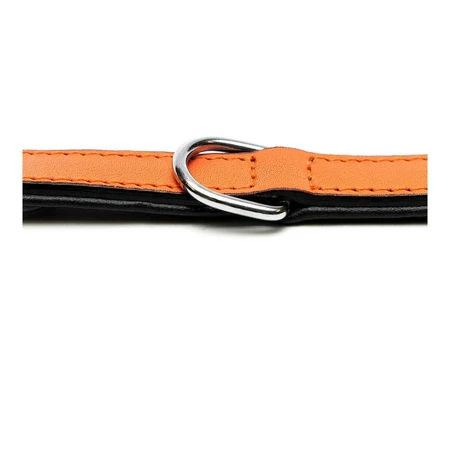 Hondenhalsband Gloria Gestoffeerd Oranje (55 cm) (55 x 2,5 cm)