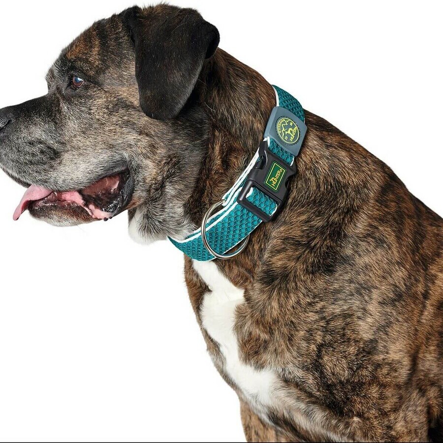 Boutique Collier pour Chien Hunter Plus Fil Turquoise 11 Collier pour Chien Hunter Plus Fil Turquoise 11