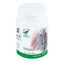 ImunoFort, 60 capsules, Pro Natura