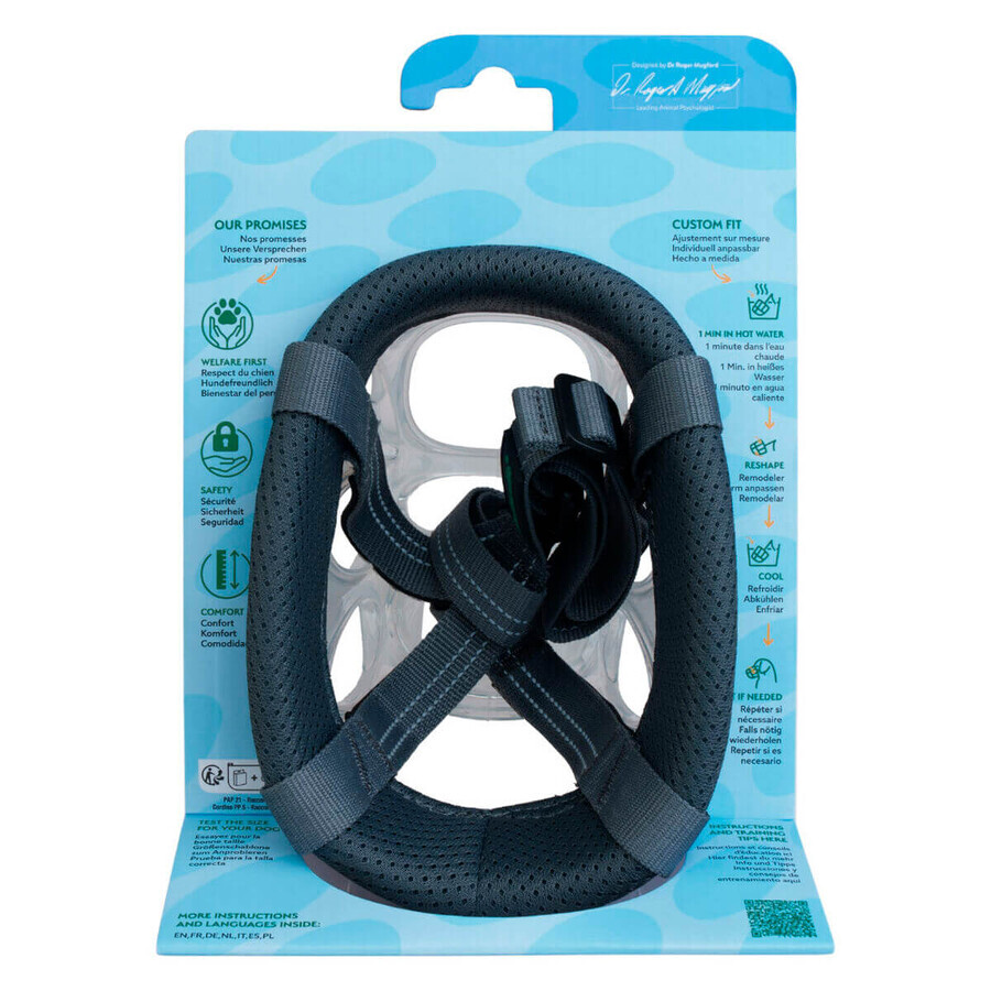 Muzzle Company of Animals Transparent 6 Muzzle Company of Animals Transparent 6