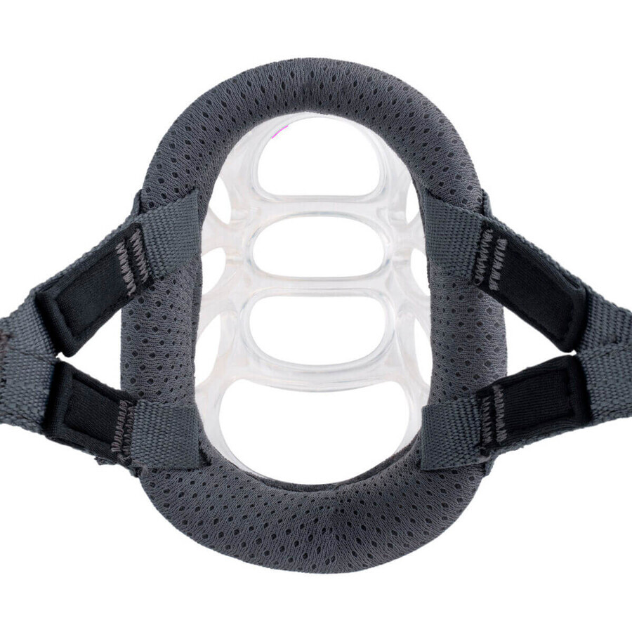Muzzle Company of Animals Transparent 6 Muzzle Company of Animals Transparent 6