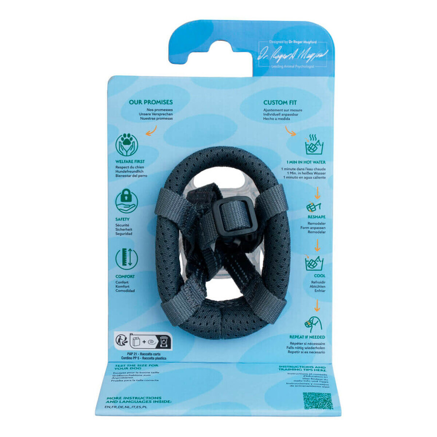 Muzzle Company of Animals Transparent Size 1