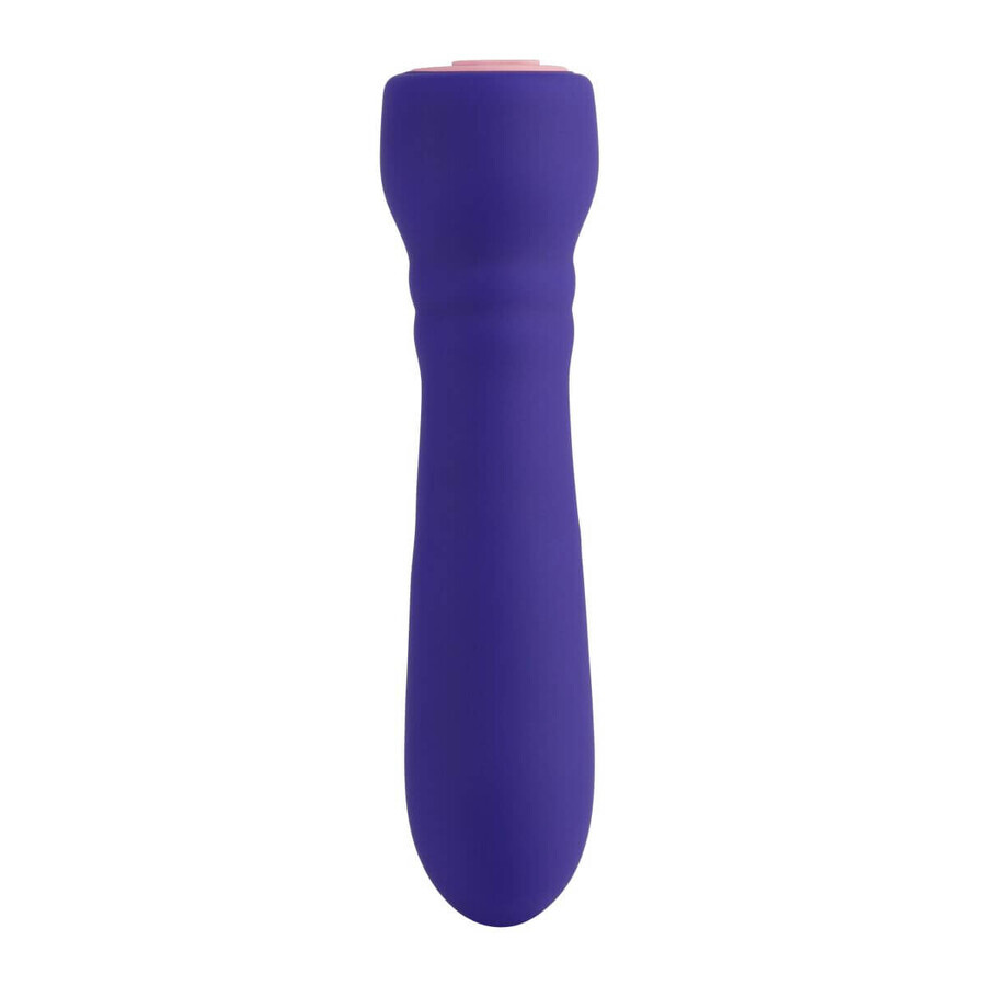 Bullet Vibrator FemmeFunn Purple