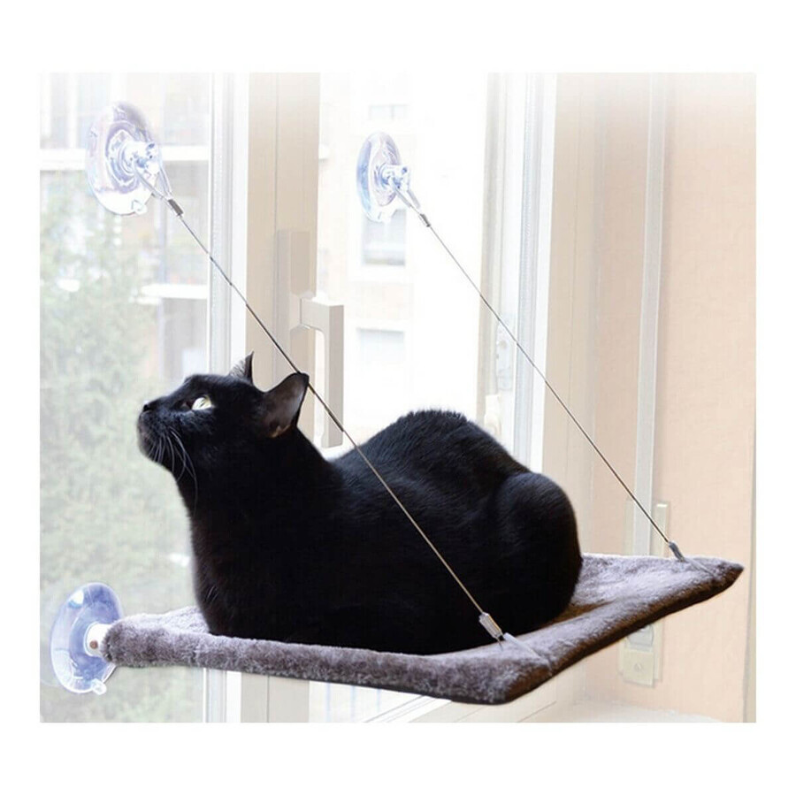 Buy Hanging Cat Hammock United Pets (37 x 47 cm) Hanging Cat Hammock United Pets (37 x 47 cm)