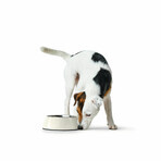 Ciotola per cani Hunter Nero 1,4 L Melammina