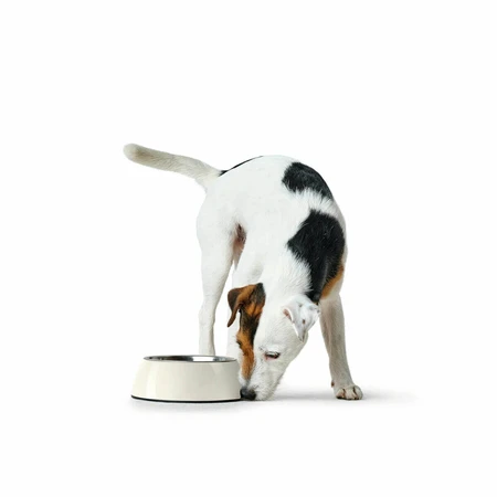 Voerbak voor honden Hunter Zwart 1,4 L Melamine
