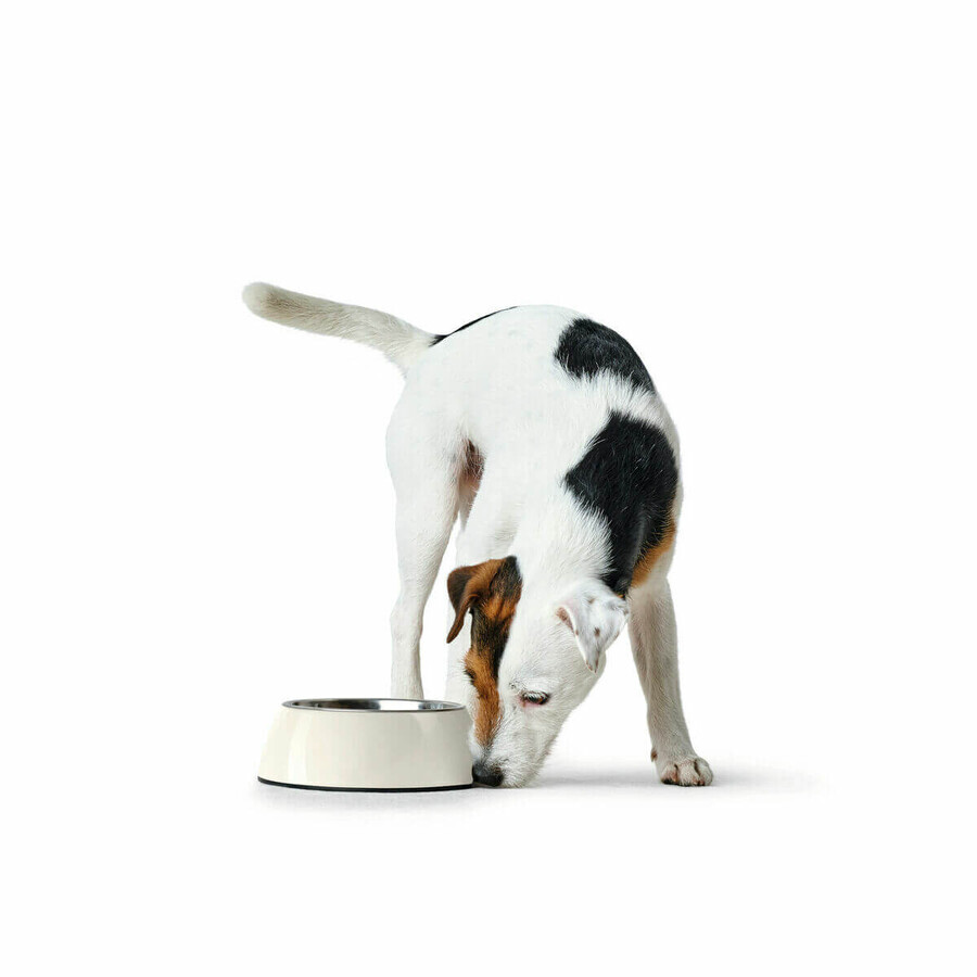 Ciotola per cani Hunter Nero 1,4 L Melammina