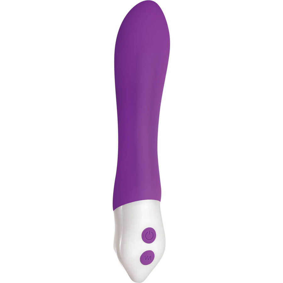 Vibrateur Bullet Evolved violet
