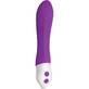 Vibratore Bullet Evoluto Viola