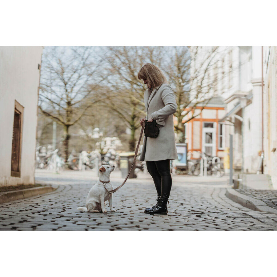 Collier pour Chien Hunter Inari Beige M 30-45 cm Collier pour Chien Hunter Inari Beige M 30-45 cm