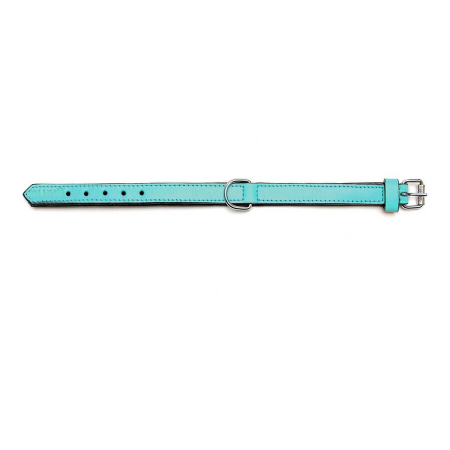 Hundehalsband Gloria Polsterung Turquoise 30 cm (30 x 1,5 cm) Hundehalsband Gloria Polsterung Turquoise 30 cm (30 x 1,5 cm)