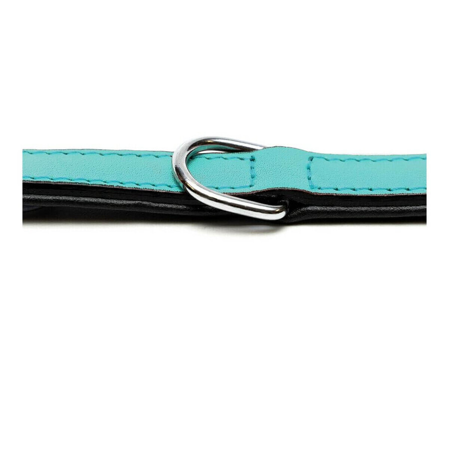 Hundehalsband Gloria Polsterung Turquoise 30 cm (30 x 1,5 cm) Hundehalsband Gloria Polsterung Turquoise 30 cm (30 x 1,5 cm)