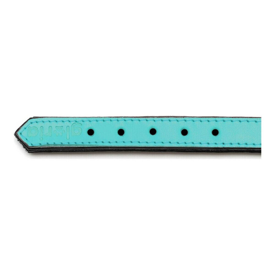 Hundehalsband Gloria Polsterung Turquoise 30 cm (30 x 1,5 cm) Hundehalsband Gloria Polsterung Turquoise 30 cm (30 x 1,5 cm)