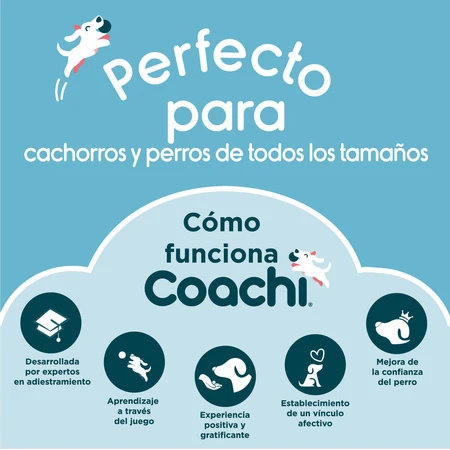 Mancuerna Coachi TRAINING DUMBBELL 12 Plástico