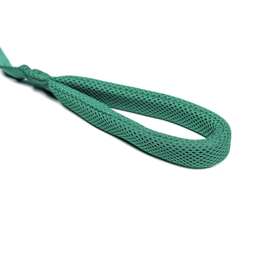 Lesă pentru câine Gloria Turquoise S Lesă pentru câine Gloria Turquoise S