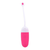 Ei-Vibrator Magic Motion