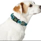 Collar de alambre Hunter Basic Azul Azul 20