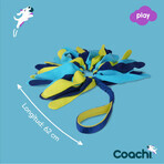 Trainingsspielzeug Coachi TUGGI SPIDER Blau Trainingsspielzeug Coachi TUGGI SPIDER Blau