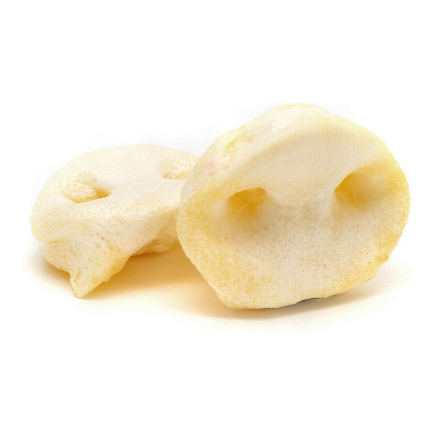 Boutique Snack pour chiens Gloria Display Light 20 Unités Cochon Snack pour chiens Gloria Display Light 20 Unités Cochon