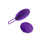 Bullet Vibrator Blush Wellness Lila