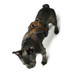 Ham pentru câini Hunter London Comfort 48-56 cm Maro Mărimea S/M Ham pentru câini Hunter London Comfort 48-56 cm Maro Mărimea S/M
